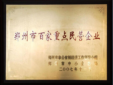 07年百家重点民营企业